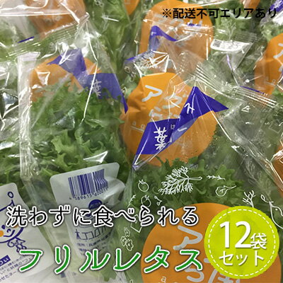 植物工場産　洗わずに食べられるフリルレタス　12袋セット　【野菜】