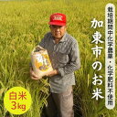 14位! 口コミ数「0件」評価「0」【令和5年産】栽培期間中化学農薬・化学肥料不使用 加東市のお米 白米 3kg　【 精米 ライス ご飯 おにぎり お弁当 和食 主食 国産 炭･･･ 