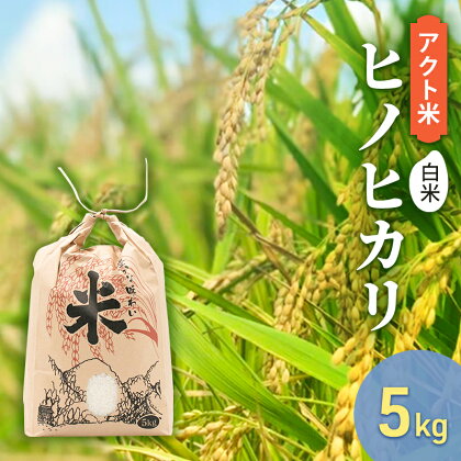 お米 令和5年産 アクト米 ヒノヒカリ 白米 5kg　【お米・ヒノヒカリ】