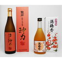 【ふるさと納税】G-36 龍力【日本酒】純米大吟醸　神力720ml　【梅酒】酒梅香500ml