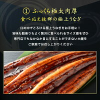 【ふるさと納税】H-134極太肉厚うなぎ棒寿司(300g〜400g)×2本セット