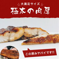 【ふるさと納税】H-134極太肉厚うなぎ棒寿司(300g〜400g)×2本セット
