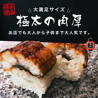【ふるさと納税】H-134極太肉厚うなぎ棒寿司(300g〜400g)×2本セット