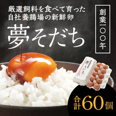 創業100年の藤橋商店が育んだ「夢そだち(60個)」厳選飼料を食べて育った自社養鶏場の新鮮卵を♪