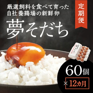 【ふるさと納税】D-3【12カ月定期便】お届け日時の指定必須「夢そだち60個」厳選飼料を食べて育った自社養鶏場の新鮮卵を♪