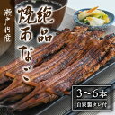 H-47瀬戸内産 絶品『焼あなご』3～6本(自家製タレ付き)