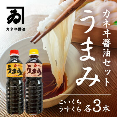 【ふるさと納税】G-54【明治2年創業 カネヰ醤油】風味醤油「うまみ」こいくち・うすくち各500ml×3本セット