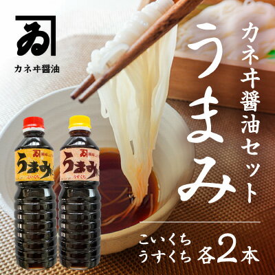 【明治2年創業 カネヰ醤油】風味醤油「うまみ」こいくち・うすくち各500ml×2本セット