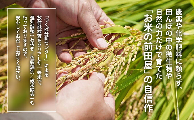 【ふるさと納税】令和8年産 新米 【10月以降順次発送】 玄米 ミルキークイーン 4kg...