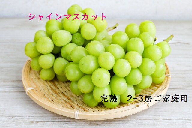 シャインマスカット 2〜3房 1kg〜1.2kg