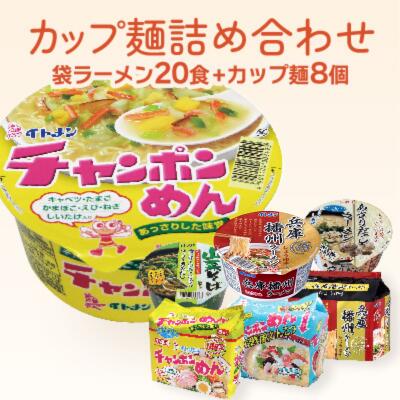【ふるさと納税】H-17 イトメンのチャンポンめんとカップ麺の詰合せ