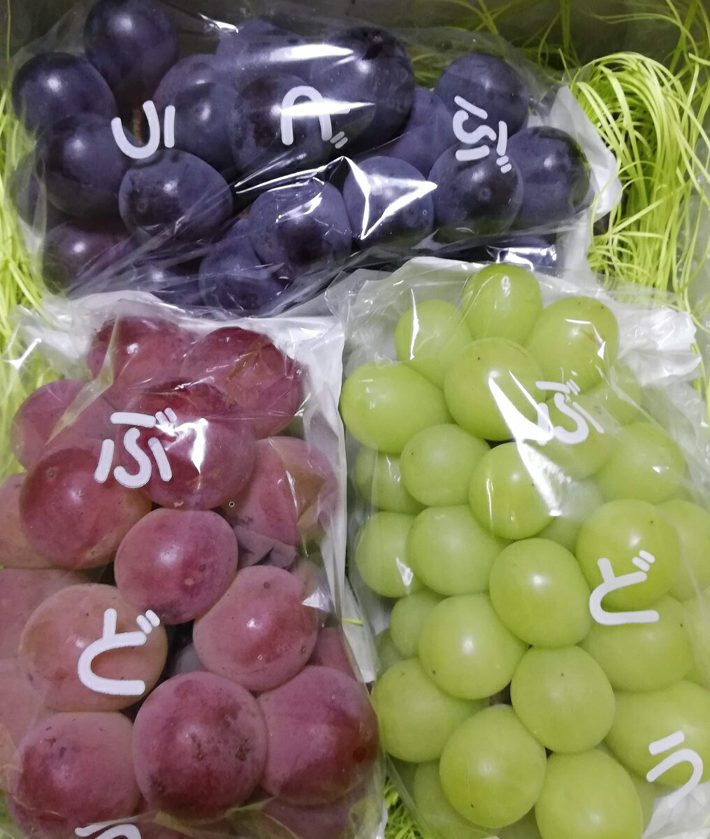 【ふるさと納税】なかなかファームの3種のぶどう食べ比べセット　※数量限定のサムネイル