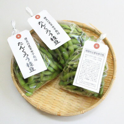 【ふるさと納税】たんくろう黒枝豆 枝なしさやのみ(300g×10袋)【配送不可地域:離島・北海道・沖縄県・東北・関東・九州】【1497448】