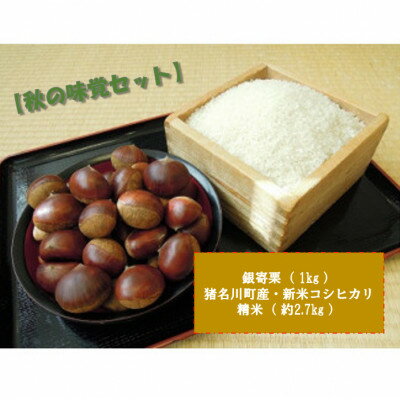 【ふるさと納税】【秋の味覚セット】銀寄栗1kg・猪名川町の令和6年産　新米コシヒカリ(精米)約2.7kg詰め合わせ【配送不可地域：離島】【1497792】のサムネイル