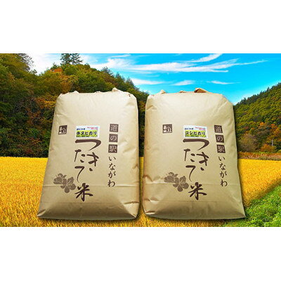 【ふるさと納税】【お米食べ比べセット(精米)】猪名川町産キヌヒカリ・コシヒカリ(各約9kg)【1497802】
