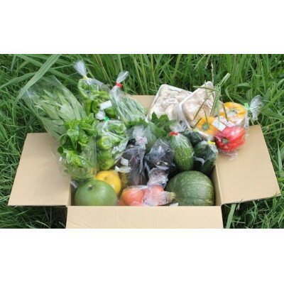 【ふるさと納税】猪名川町産・おまかせ「夏野菜セット」合計約1.5～2.5kg(6種類以上)【配送不可地域：離島】【1497821】