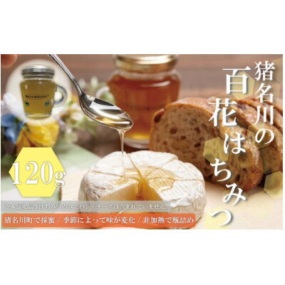 猪名川の百花はちみつ(れんげ)