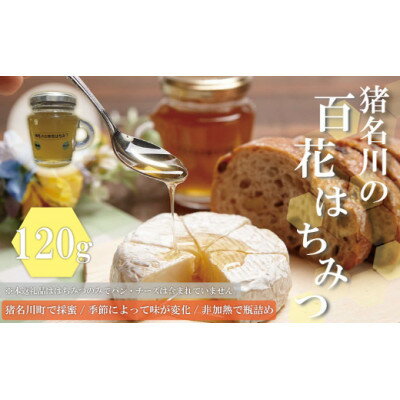 猪名川の百花はちみつ(桜&れんげ)1本ずつ(計2本)セット
