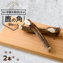 【ふるさと納税】【小型〜中型犬向け】鹿の角Mサイズ丸々1本×2本(小型〜中型犬用約15cm2本)【1596498】