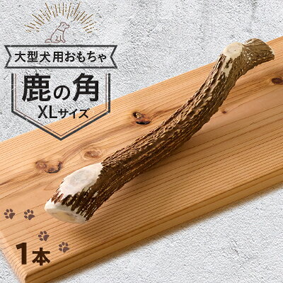 【大型犬向け】鹿の角XLサイズ丸々1本(大型犬用約30cm)【1596791】