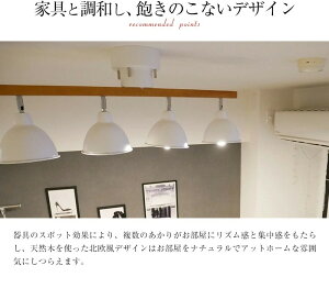 【ふるさと納税】625 シーリングライトリモコン 天井照明 LED電球色付属