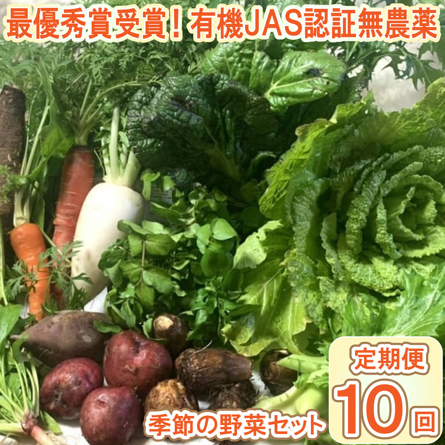 【ふるさと納税】【最優秀賞受賞！甘味＆栄養】有機JAS認証の無農薬、チヨちゃんの野菜10ヶ月定期[960]