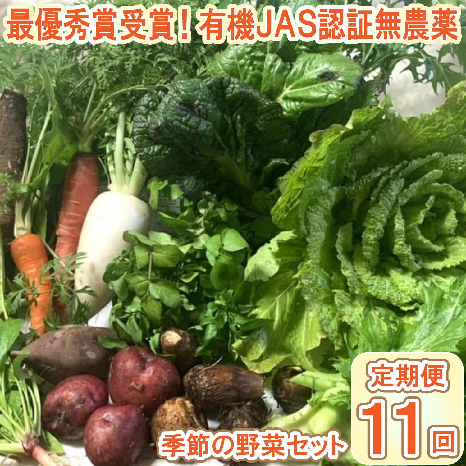 【ふるさと納税】【最優秀賞受賞！甘味＆栄養】有機JAS認証の無農薬、チヨちゃんの野菜11ヶ月定期[961]