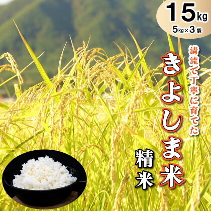 米 きよしま米【精米】5kg×3袋[822]米 白米 国産