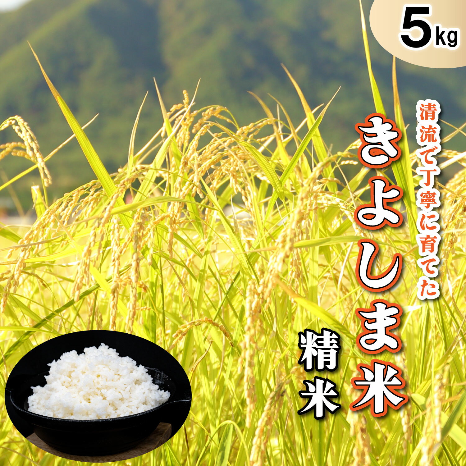 米 きよしま米[精米]5kg[824]米 白米 国産