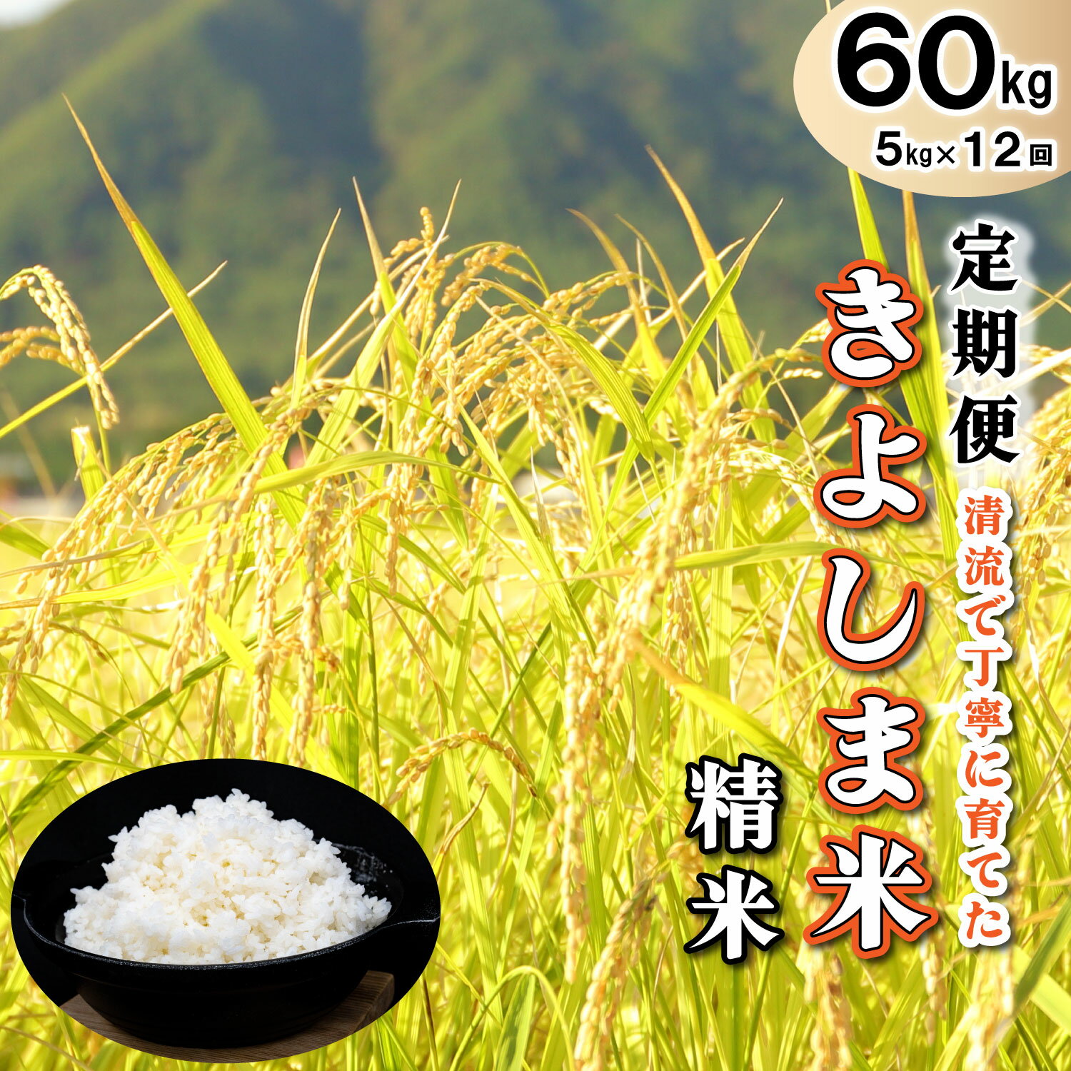 1位! 口コミ数「0件」評価「0」米【定期便】きよしま米【精米】5kg×12か月[826] 米 白米 単一原料米 国産