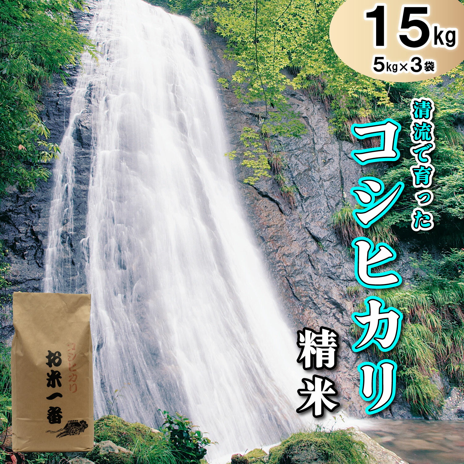 米 多可町加美区の清流で育ったコシヒカリ【精米】5kg×3袋[828] 米 白米 単一原料米 国産