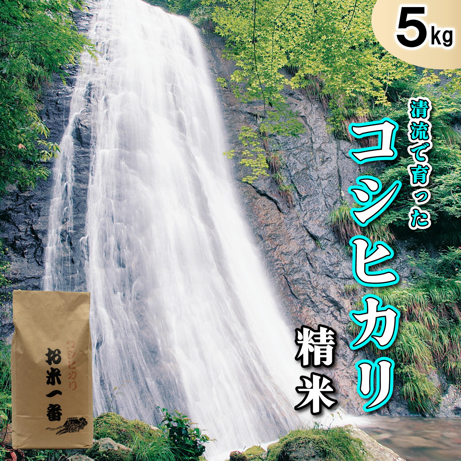 米 多可町加美区の清流で育ったコシヒカリ【精米】5kg[830] 米 白米 単一原料米 国産