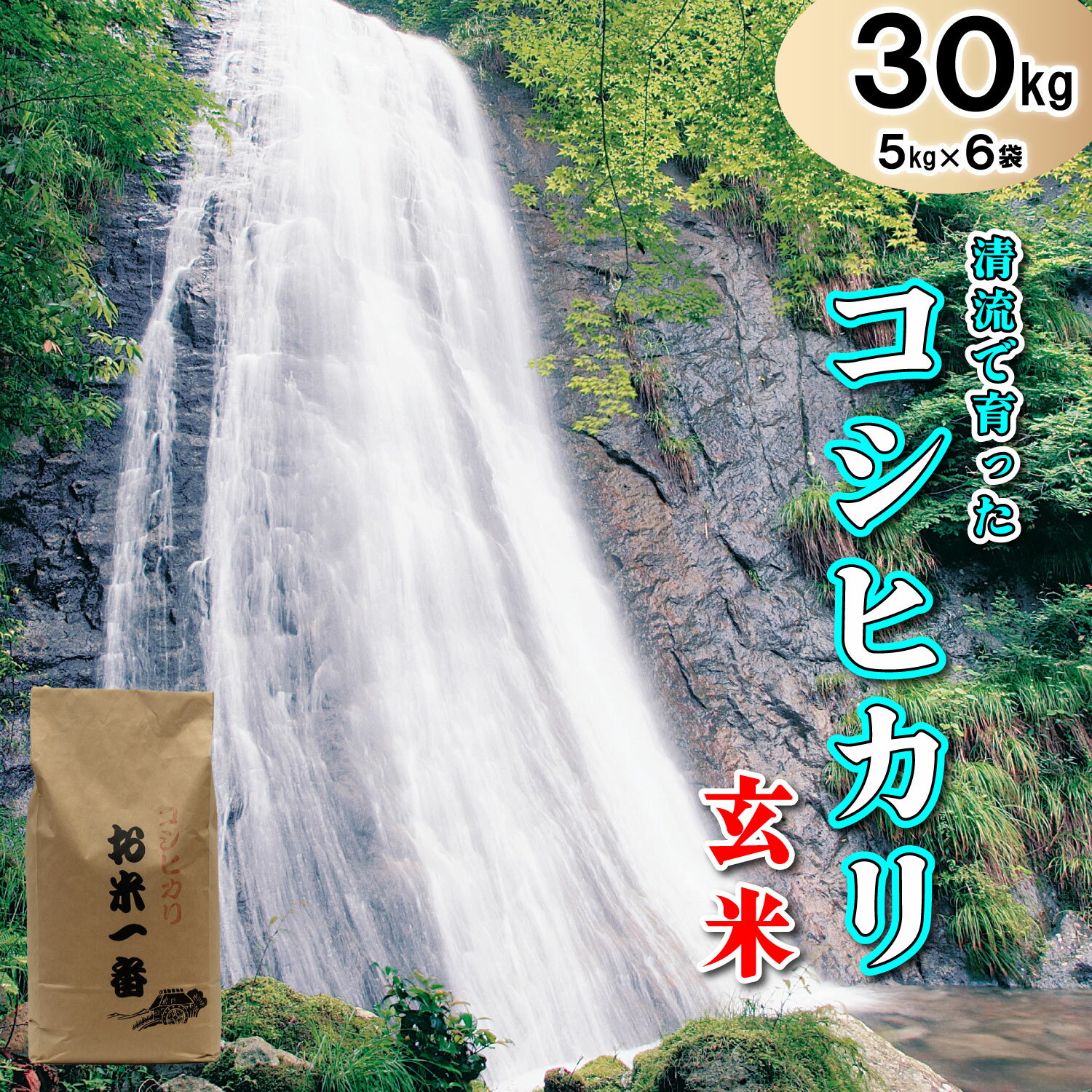 【ふるさと納税】玄米 多可町加美区の清流で育ったコシヒカリ【玄米】5kg×6袋[831] 米 玄米 単一原料米 国産