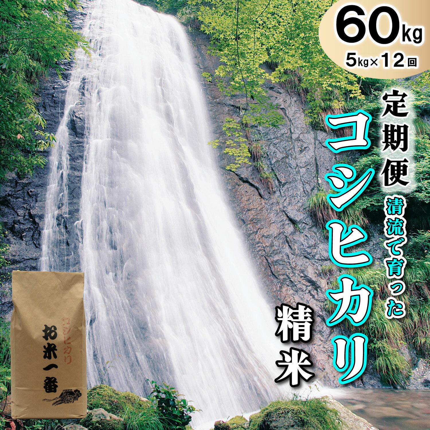 3位! 口コミ数「0件」評価「0」米 【定期便】多可町加美区の清流で育ったコシヒカリ【精米】5kg×12か月[833]