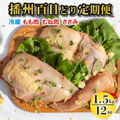 播州百日どり 正肉セット 12回 定期便[836] 鶏肉 もも肉 むね肉 ささみ 冷蔵