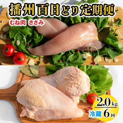 播州百日どり ヘルシーセット 6回 定期便 [837] 鶏肉 むね肉 ささみ 冷蔵