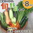 商品情報名称農場なつめやし　旬の野菜セット（栽培期間中、農薬・化学肥料不使用）[814]産地名兵庫県多可町産内容量旬の野菜、約8品目。保存方法冷蔵庫で保存。お受け取り後はお早めにお召し上がりください。生産者農場なつめやし兵庫県多可郡多可町加美区山野部428-2備考プラスチックごみ削減の為、各野菜の梱包は新聞紙を使用させていただきます。 ・ふるさと納税よくある質問はこちら ・寄附申込みのキャンセル、返礼品の変更・返品はできません。あらかじめご了承ください。【ふるさと納税】農場なつめやし　旬の野菜セット（栽培期間中、農薬・化学肥料不使用）[814] 多可町で育った安全で新鮮な季節の野菜のセットです。栽培期間中、農薬・化学肥料不使用 旬の野菜、約8品目。伝統野菜や在来野菜をメインに栽培期間中、農薬や化学肥料は使用せず、少量多品目で季節の野菜を育てる「農場なつめやし」の旬の野菜、約8品目の詰め合わせです。その時の一番美味しい野菜を私達が厳選し収穫したその日に発送するので、野菜本来の味を新鮮な内に楽しんでいただけます。「農場なつめやし」は美味しい野菜を味わう喜びと共に、生産者と消費者がつながる大切さ、私たちが暮らす地球の環境の事を少しでも考える時間や、季節の移り変わり、種を守り続けることの重要性など、野菜を通じてたくさんの事をみなさんとシェアできたらいいなぁと思っています。 8 「ふるさと納税」寄附金は、下記の事業を推進する資金として活用してまいります。 寄附を希望される皆さまの想いでお選びください。 (1) 「そこまでやったか！地方創生」コース (2) 「なつかしふるさと」応援コース (3) 「あったかふるさと」応援コース (4) 「いきいきふるさと」応援コース (5) 「未来に残そう多可の公園」コース (6) 「おまかせ」応援コース　 特段のご希望がない場合は、町政全般に活用させていただきます。 入金確認後、注文内容確認画面の【注文者情報】に記載の住所にお送りいたします。 発送の時期は、寄附確認後2ヵ月以内を目途に、お礼の特産品とは別にお送りいたします。