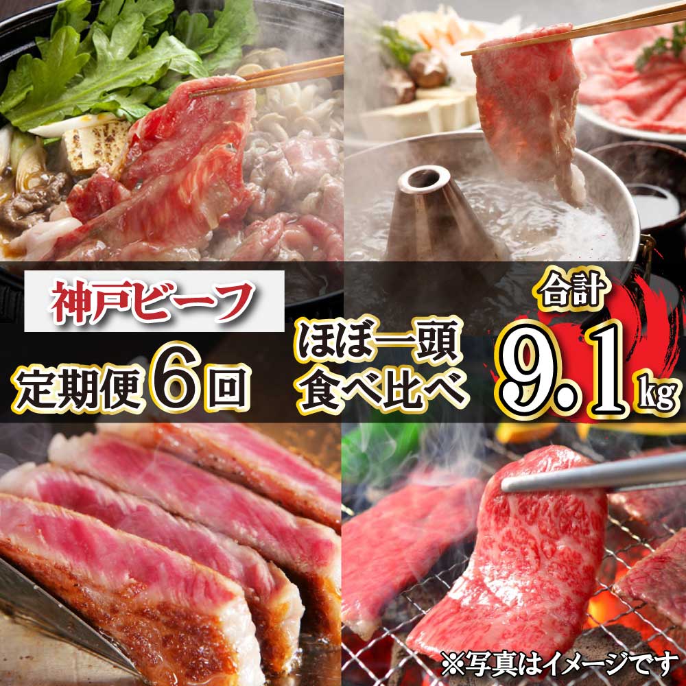神戸ビーフ ほぼ一頭色んな部位を食べくらべコース（定期便6回）[620] 神戸牛 太田家 太田牧場