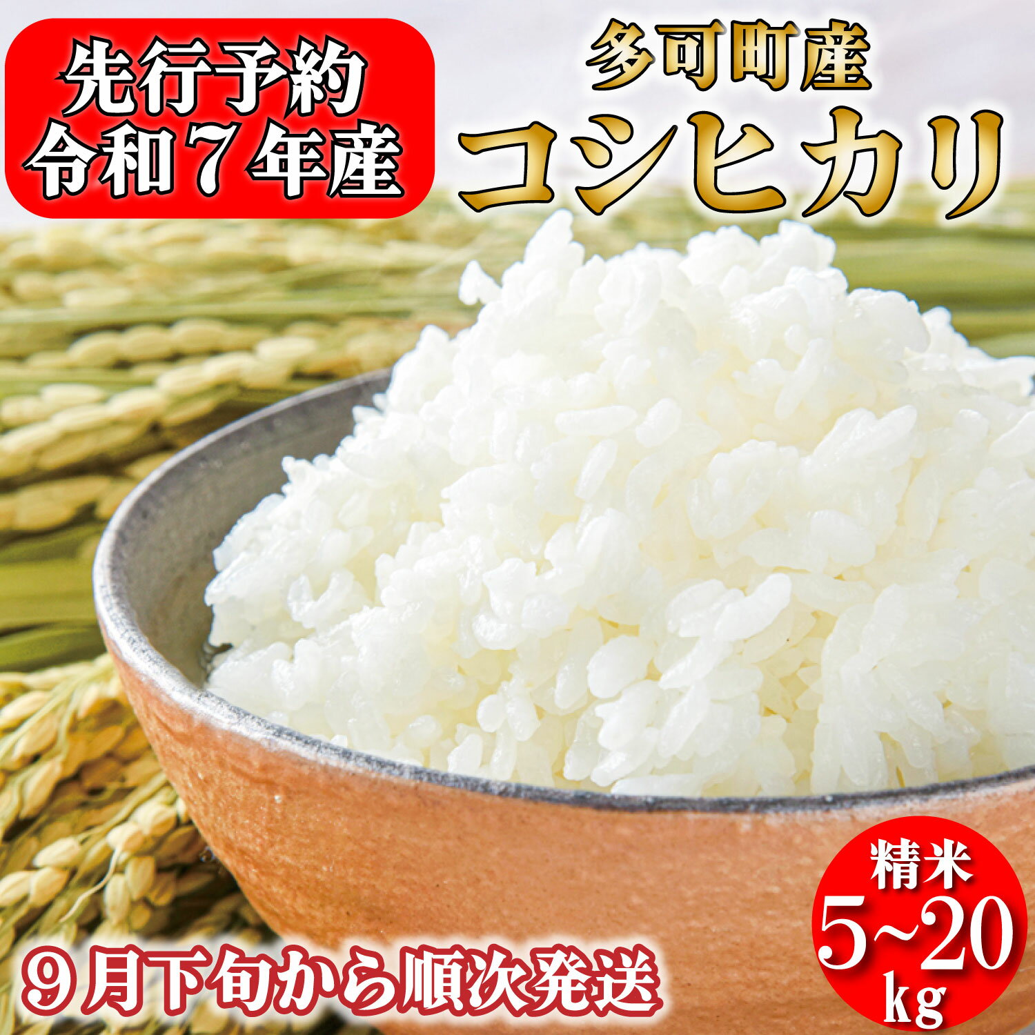 新米予約 令和7年産 お米 コシヒカリ 精米 兵庫県多可町産