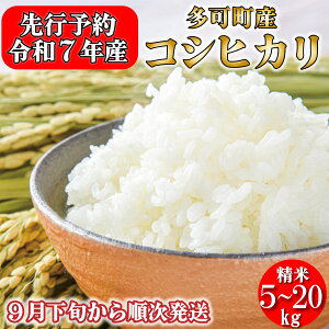 【ふるさと納税】新米予約 令和7年産 お米 コシヒカリ 精米 兵庫県多可町産