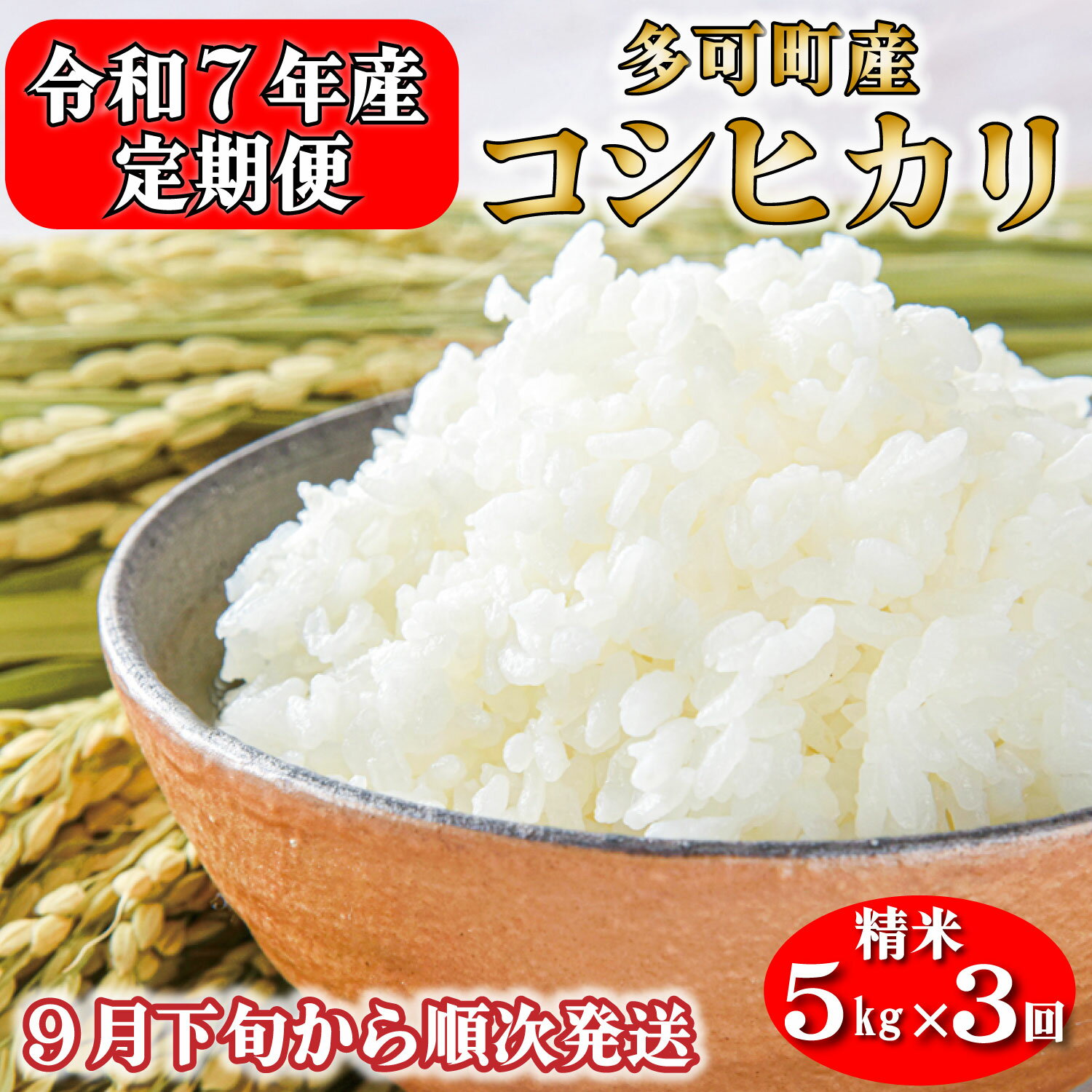 【ふるさと納税】【定期便】令和7年産 お米 5kg×3回 コシヒカリ 精米 兵庫県多可町産 [1238]