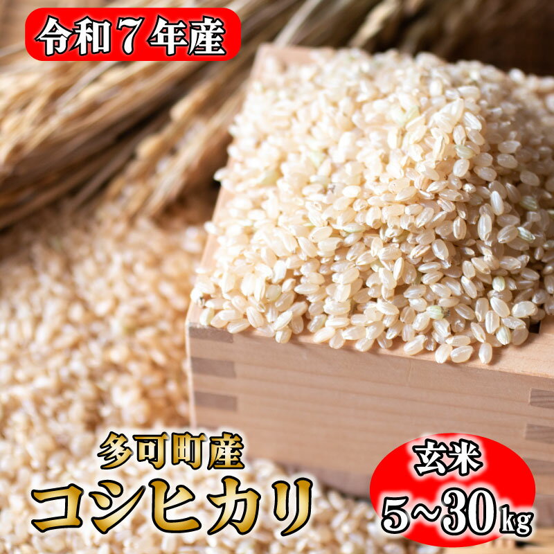玄米 お米 コシヒカリ 兵庫県多可町産 5kg 10kg 30kg