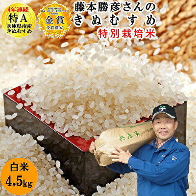 【ふるさと納税】【令和3年産特別栽培米/ひょうご安心ブランド】藤本勝彦さんのきぬむすめ白米4.5kg 日本一おいしい米コンテストin庄内町金賞3回受賞農家　【きぬむすめ・お米・米】　お届け：2021年10月上旬以降順次発送開始