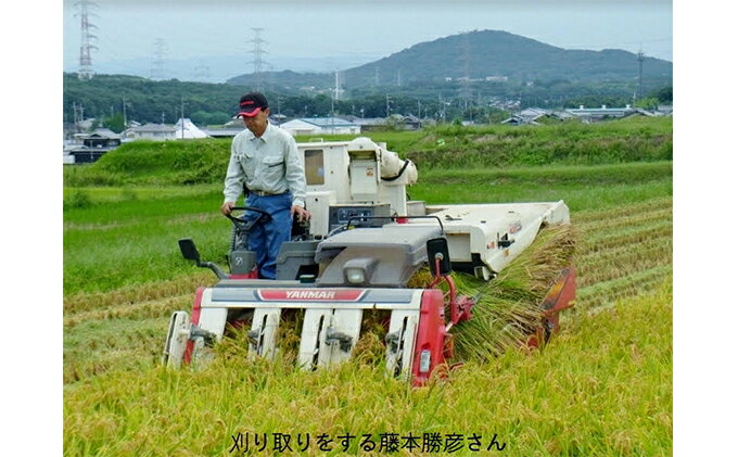 【ふるさと納税】【令和3年産特別栽培米/ひょうご安心ブランド】藤本勝彦さんのきぬむすめ白米4.5kg 日本一おいしい米コンテストin庄内町金賞3回受賞農家　【きぬむすめ・お米・米】　お届け：2021年10月上旬以降順次発送開始