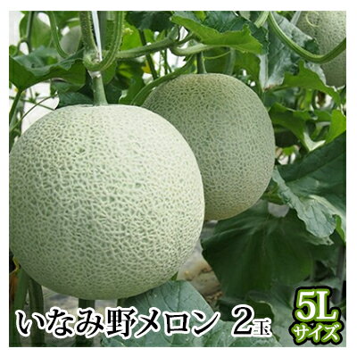 メロン ひょうご推奨ブランド いなみ野メロン 2玉 5Lサイズ フルーツ めろん 果物 フルーツ 果物類 お届け:2025年7月上旬〜2025年8月上旬