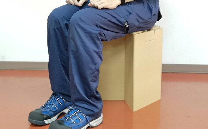 【ふるさと納税】非常用 いす 2台 セット 詰め合わせ ダンボール製 防災グッズ 防災用品 防災用 簡単組み立て 組み立て式 国産 ダンボール 椅子 イス ダンボール椅子 非常用品 雑貨 防災セット 兵庫 兵庫県 稲美町