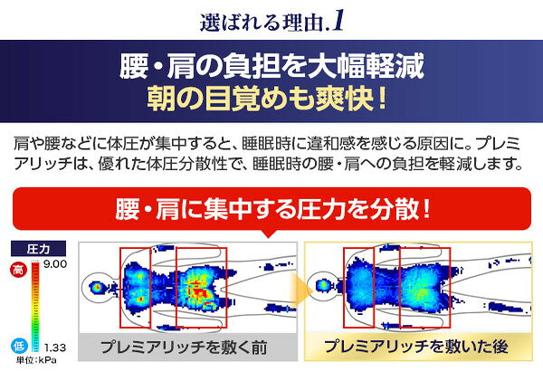 【ふるさと納税】トゥルースリーパー プレミアリッチpr2 ダブル[ 寝具 マット 低反発 高反発 2層構造 体圧分散 睡眠 抗菌 防カビ 防ダニ 肩 腰 ] 敷布団 敷き布団