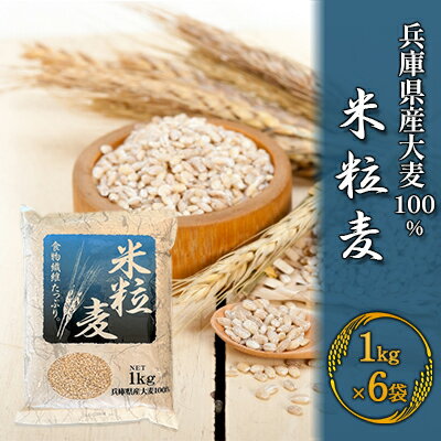 【ふるさと納税】兵庫県産大麦100％ 米粒麦 1kg×6袋　