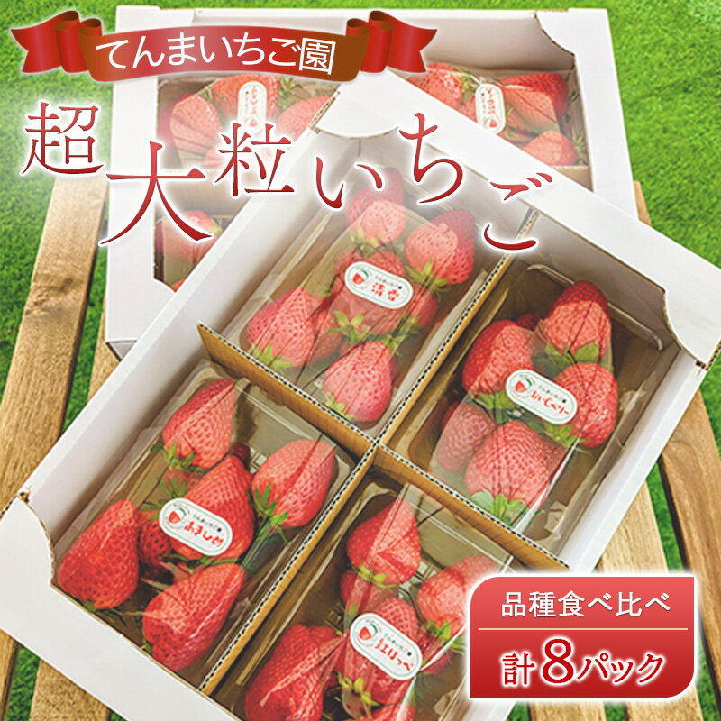 【ふるさと納税】【予約受付】てんまいちご園 超大粒いちご 8パックセット 品種食べ比べボックス いちご イチゴ 食べ比べ 超大粒 大粒 兵庫県 稲美町 果物類 苺 お届け:2026年1月~4月下旬頃にお届け