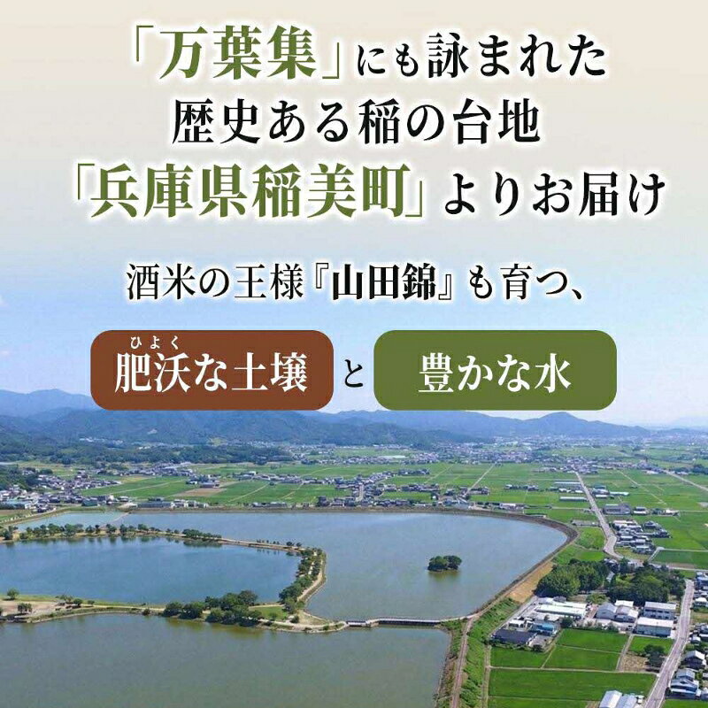 【ふるさと納税】雑穀米 いなみ野 美肌玄米 1kg (500g×2袋) セット 雑穀 玄米 黒米...